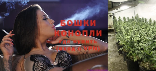 мет Аркадак