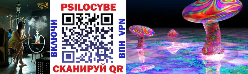 Псилоцибиновые грибы GOLDEN TEACHER Судак