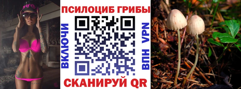 Псилоцибиновые грибы мухоморы  Судак 