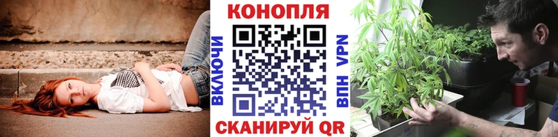 купить   Судак  МАРИХУАНА VHQ 